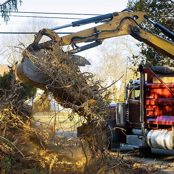 Demolition emergency cleanup