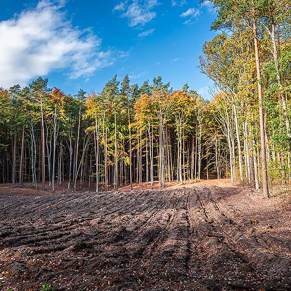 Land that has been cleared by demolition