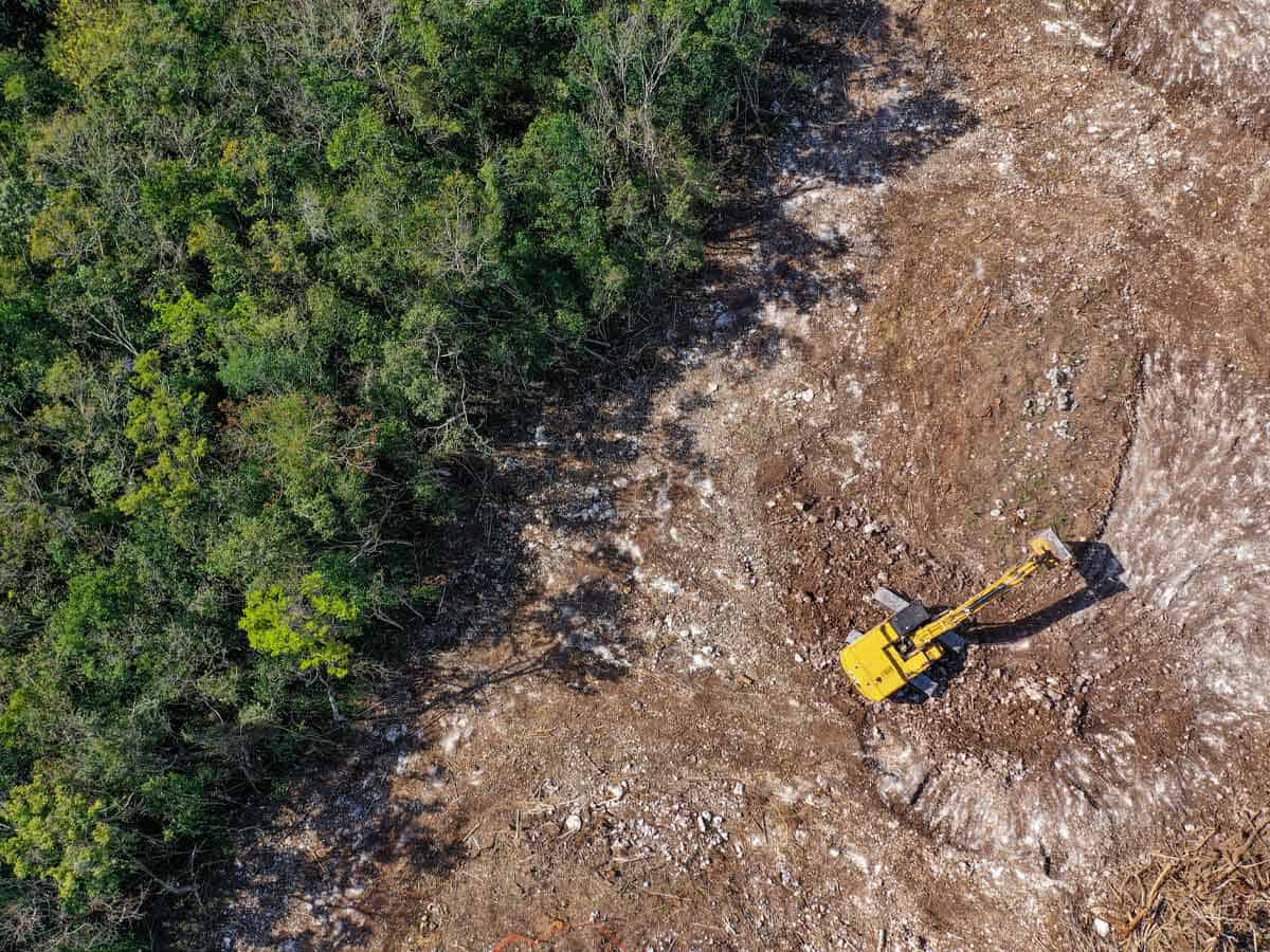 Demolition pros land clearing contractor